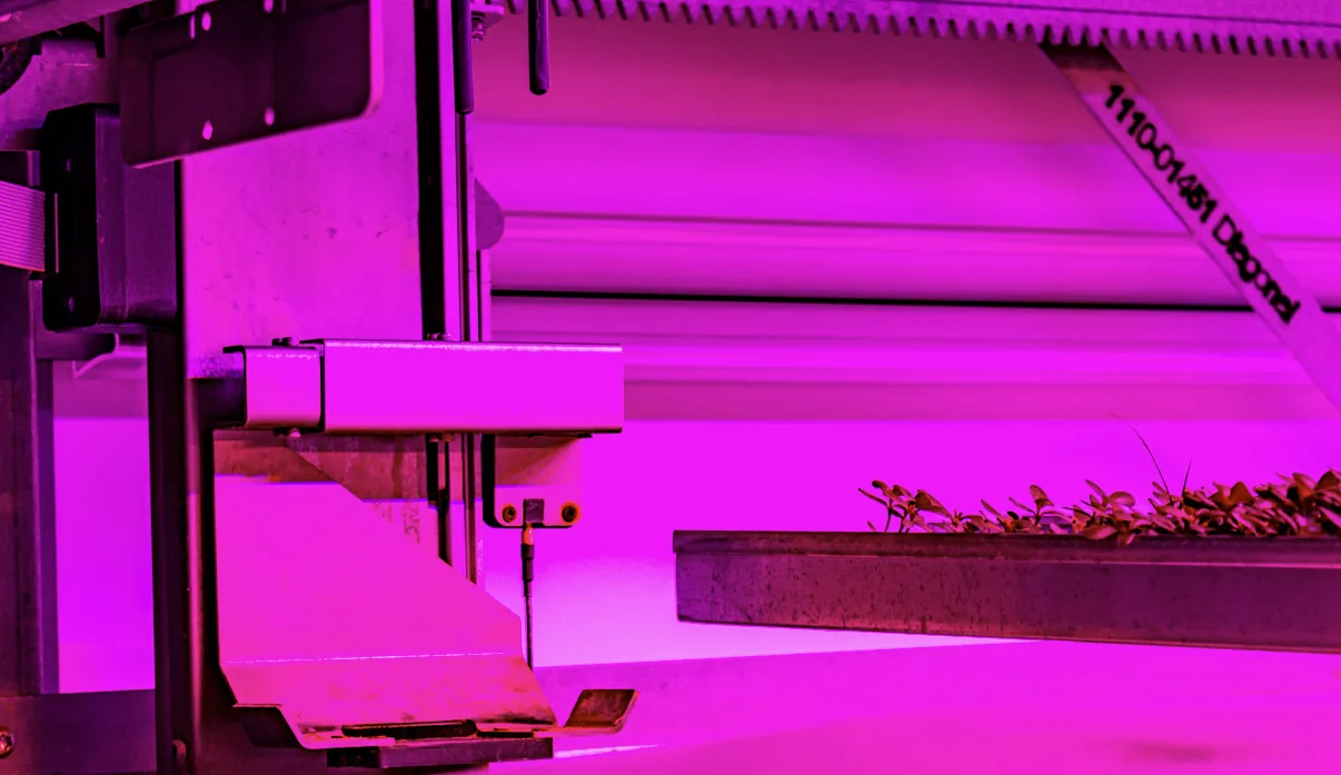 Floors in Growy's vertical farm in Amsterdam: Ucrete BC4, Comforpox 870 HB Coating and Comforpur 660 Uni, detail 5